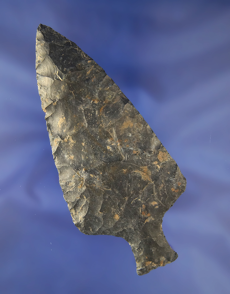 Main artifact image