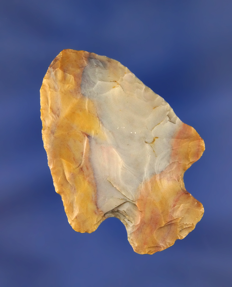 Main artifact image