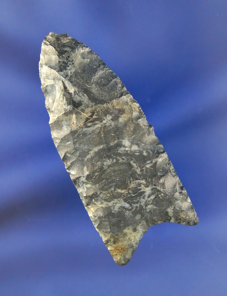 Main artifact image