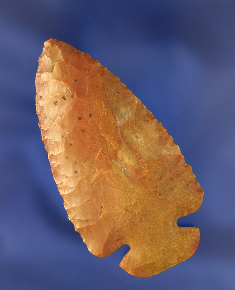 Main artifact image
