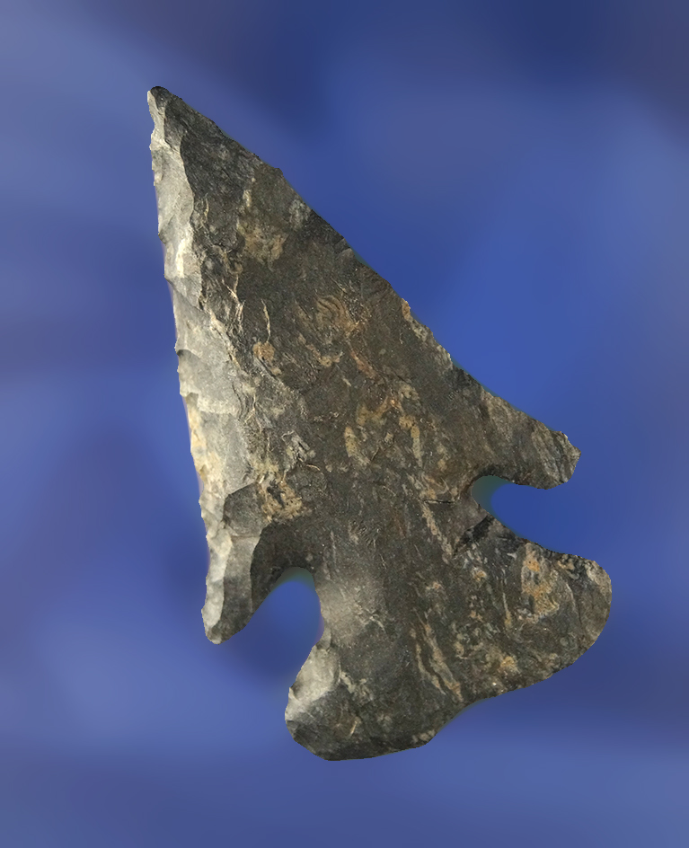 Main artifact image