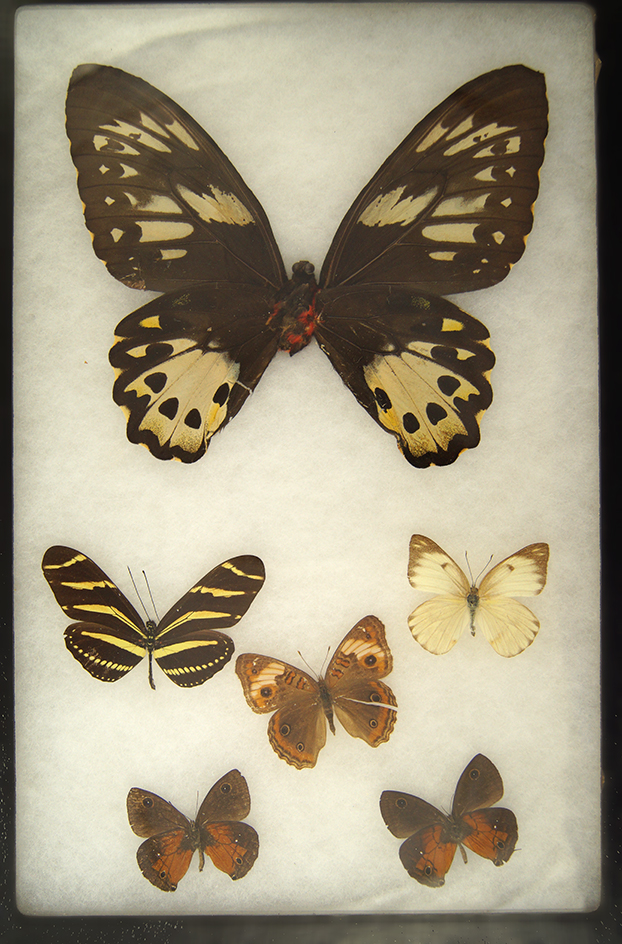 Main artifact image