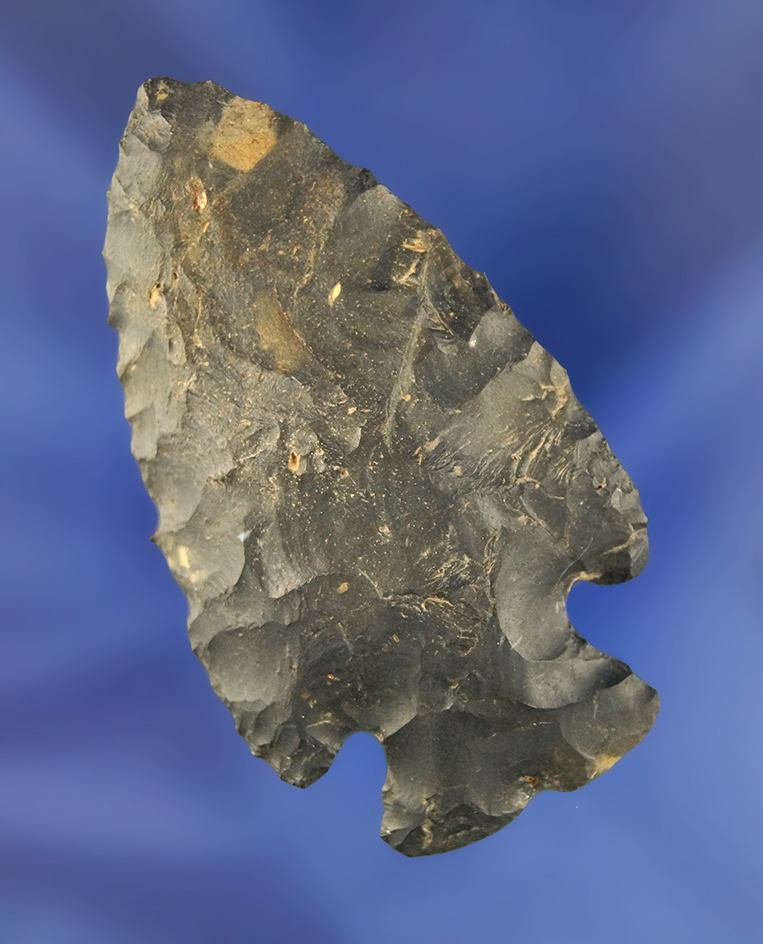 Main artifact image