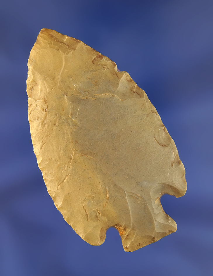 Main artifact image