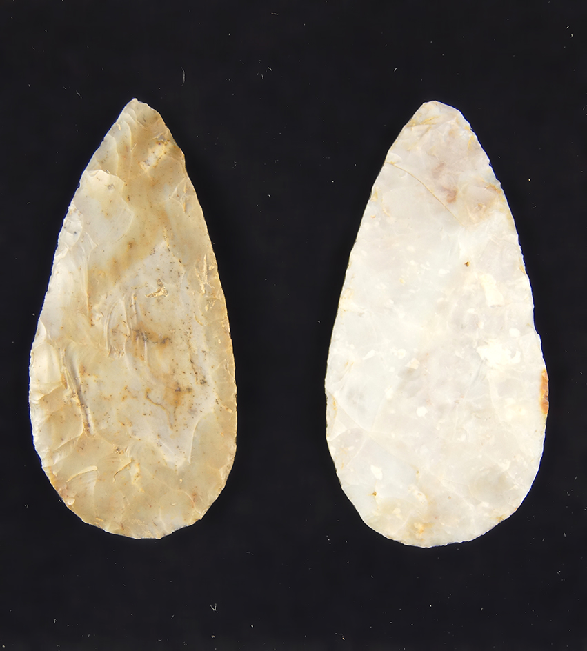 Main artifact image