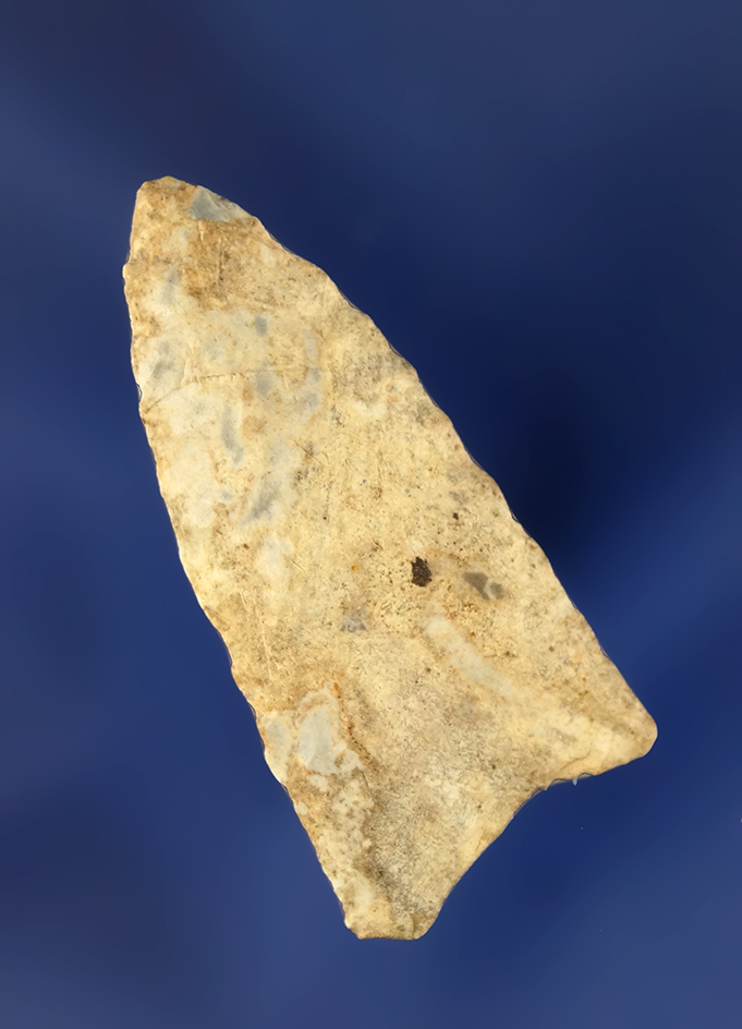 Main artifact image