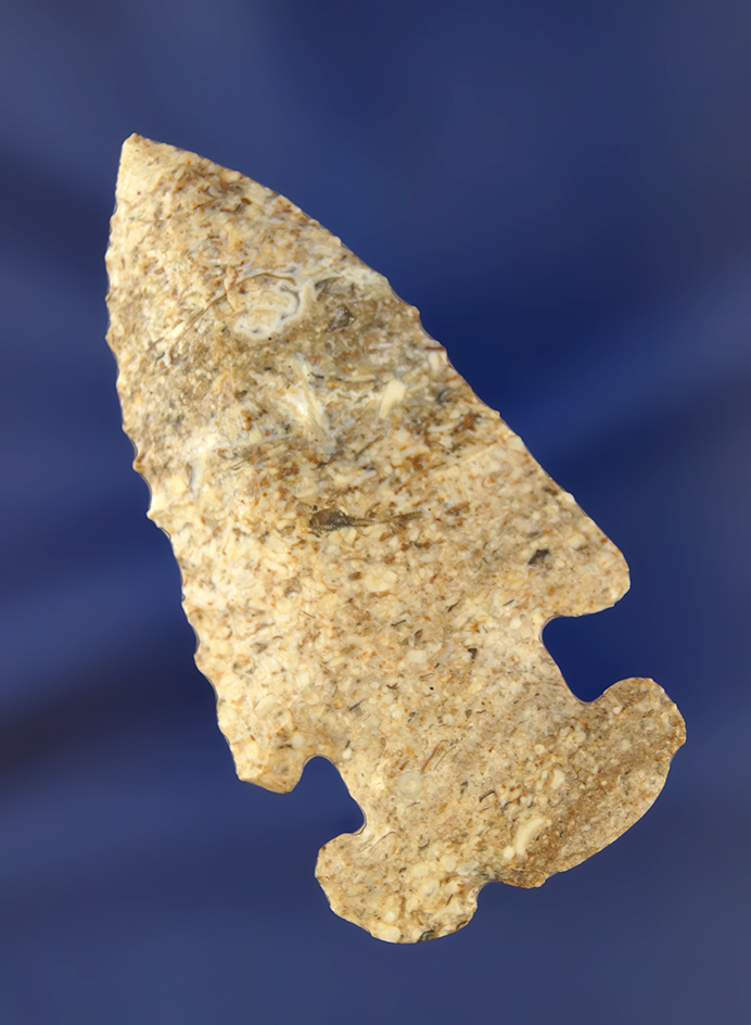 Main artifact image