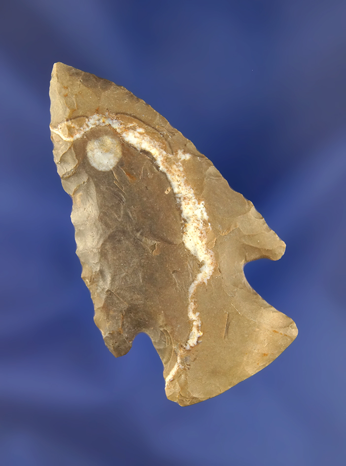 Main artifact image