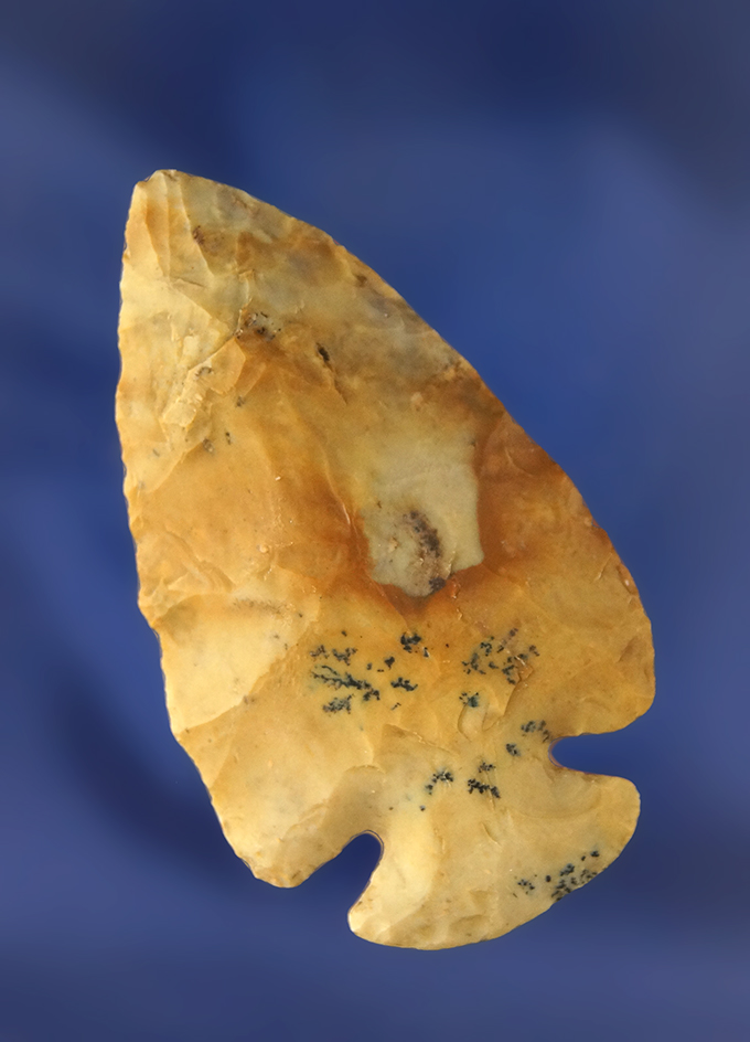 Main artifact image