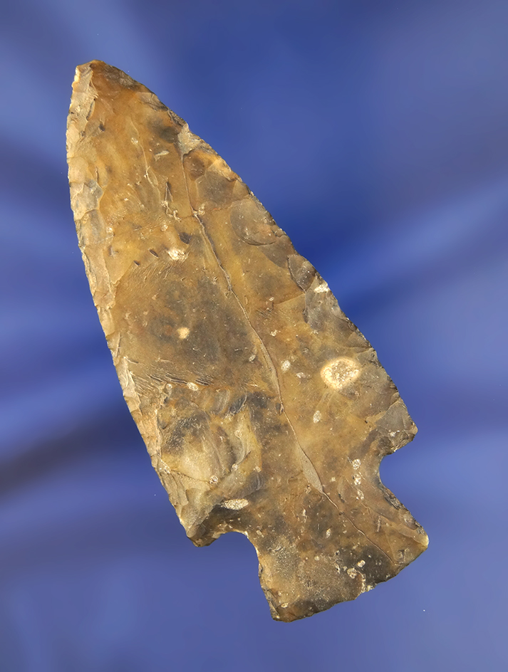 Main artifact image