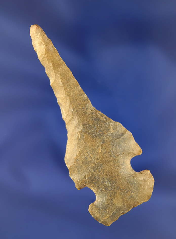 Main artifact image