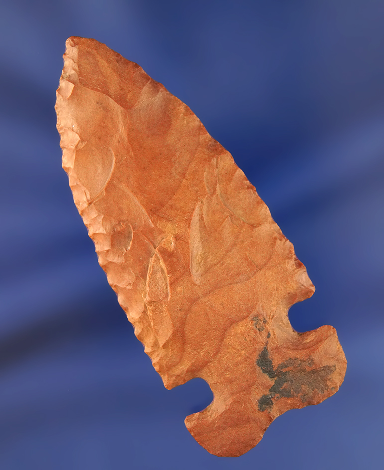 Main artifact image