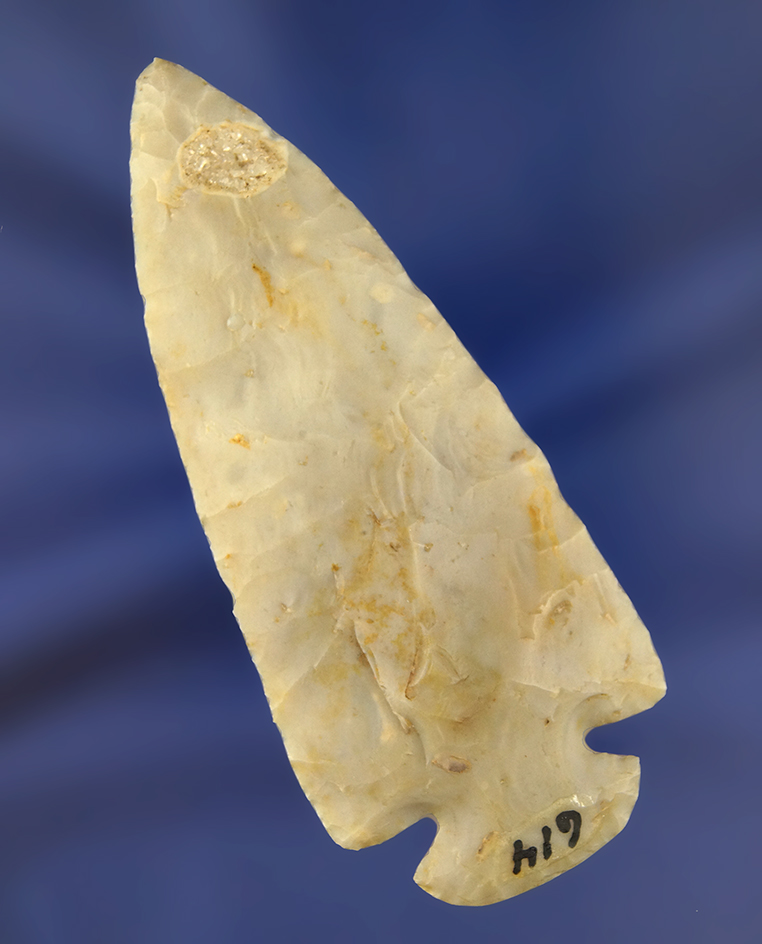Main artifact image