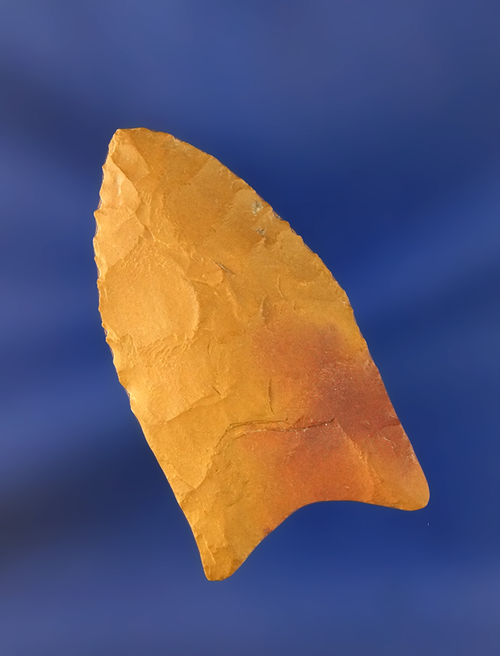 Main artifact image