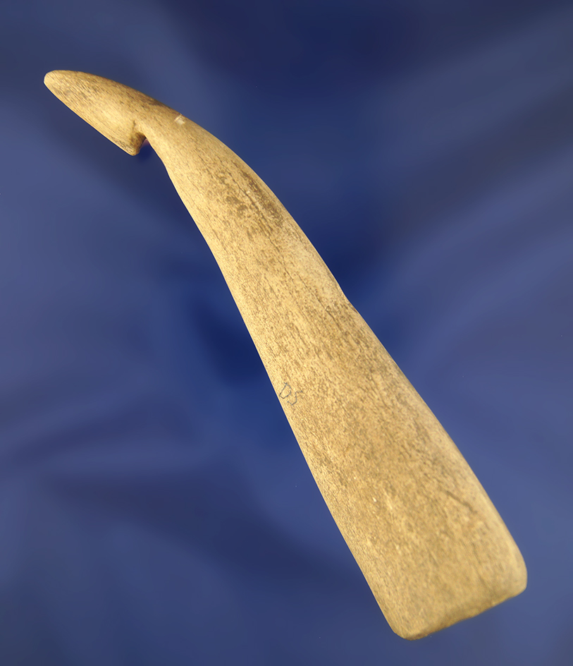 Main artifact image