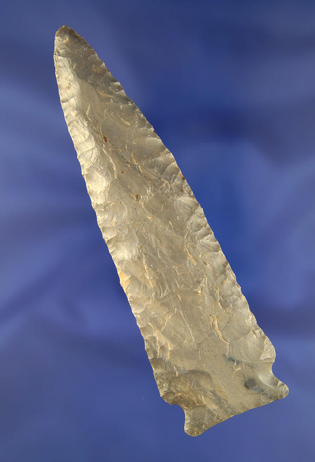 Main artifact image