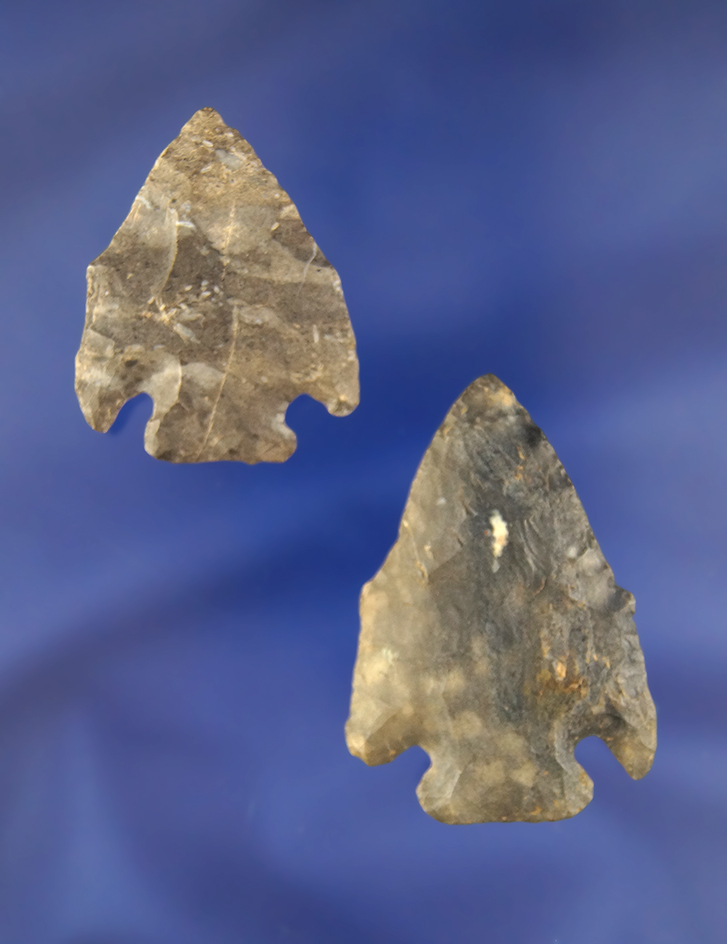 Pair of 2 Archaic Pentagonals, largest is 2 1/8". Found in Richland Co., Ohio.