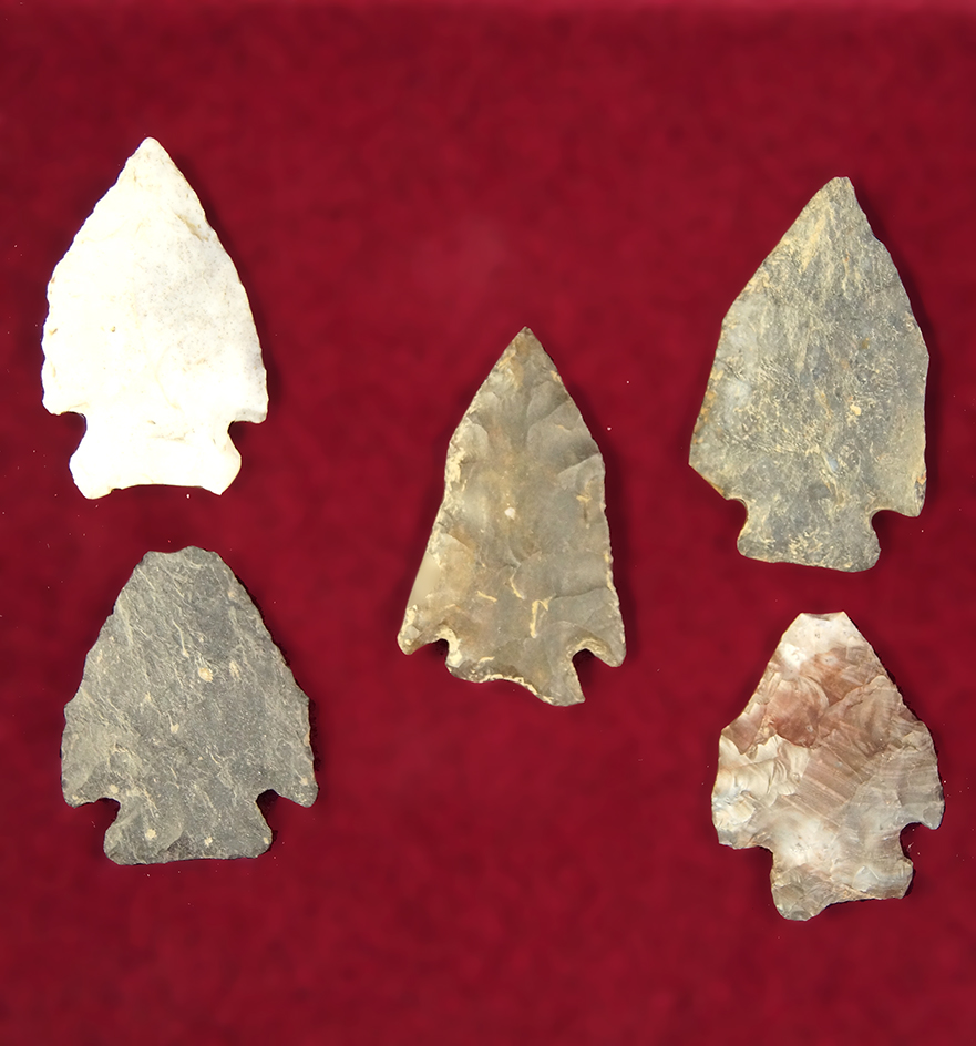Main artifact image