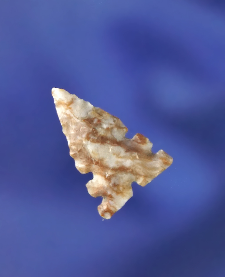 Very unique serrations on this 5/8" Alibates Flint Triangular arrowhead found in Texas.