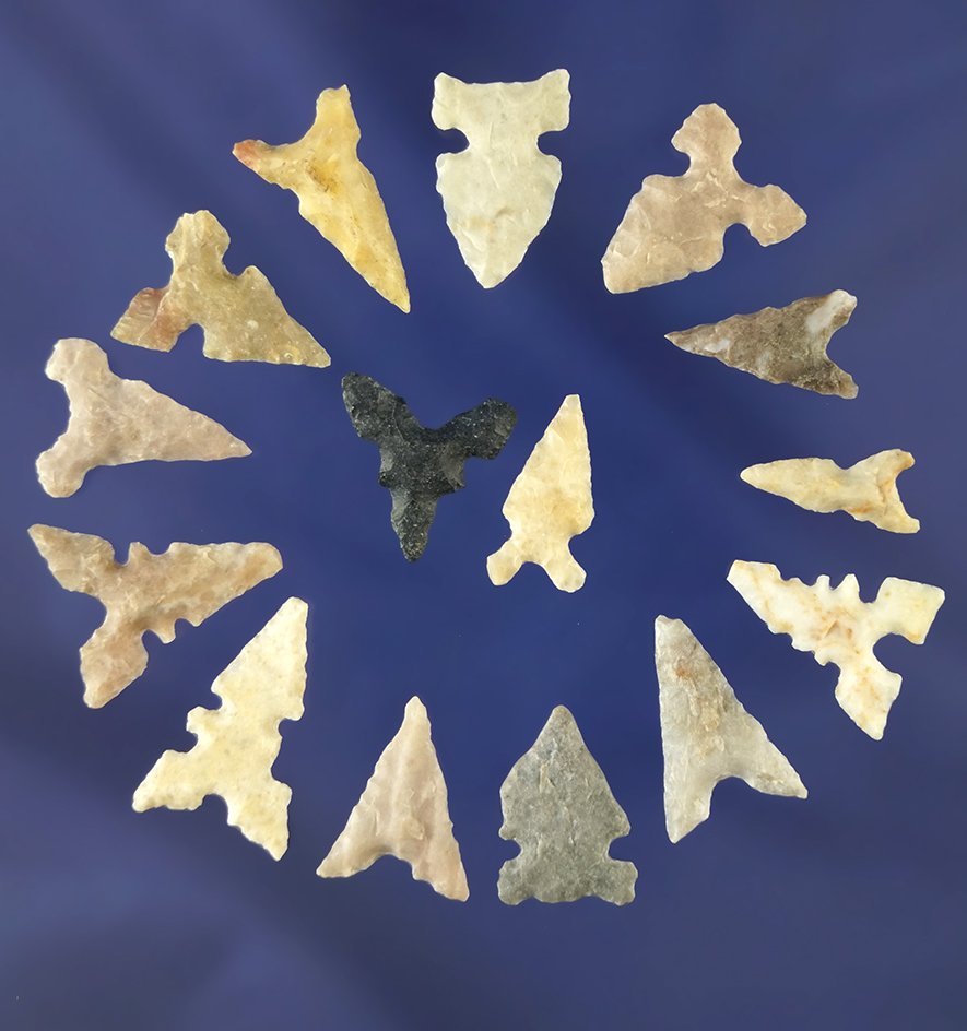 Group of 15 assorted Texas Bird Points, most are nice condition. Largest is 5/8".
