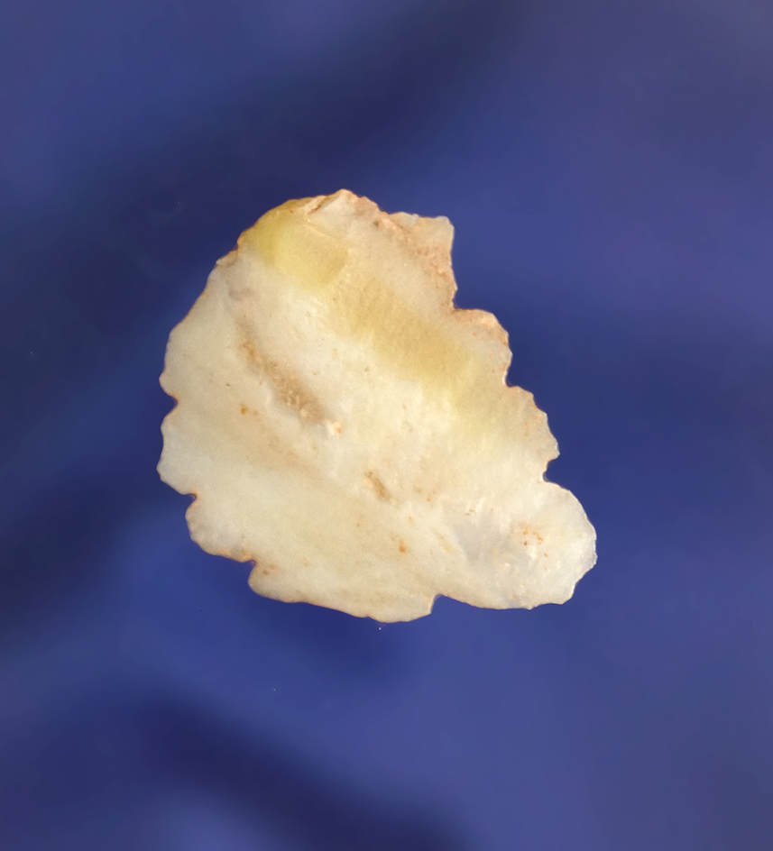 Main artifact image