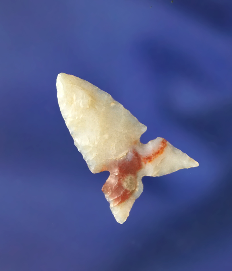 Beautiful! 1" Alibates Flint Bird Point with excellent style found in northern Texas.