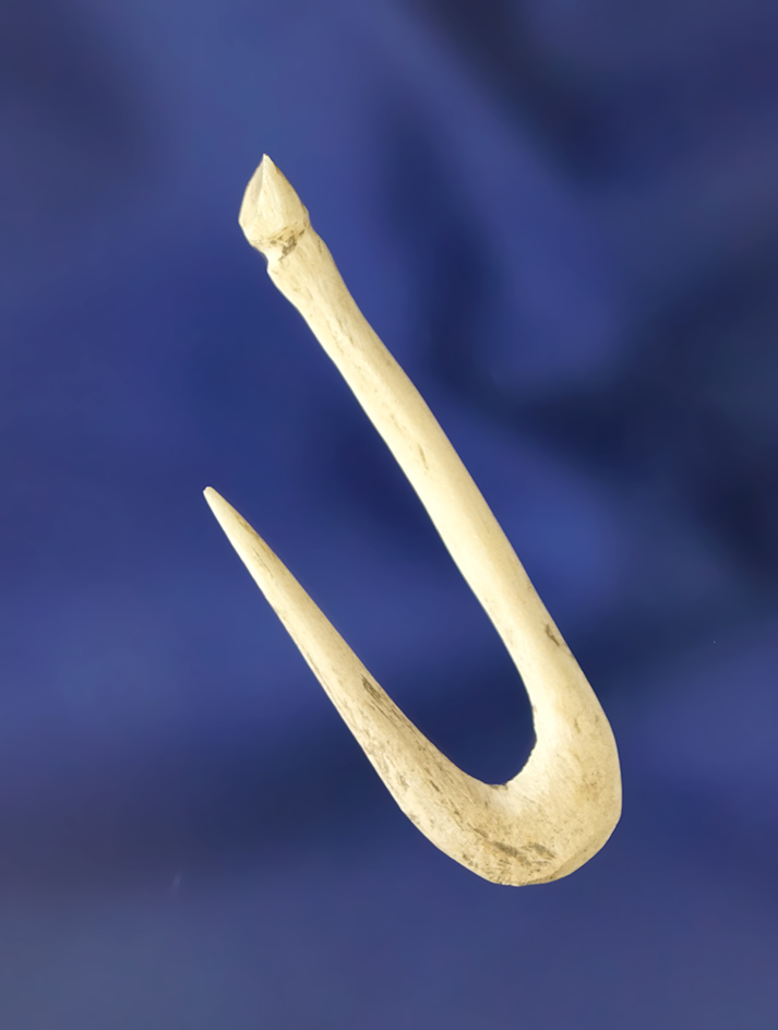 Main artifact image