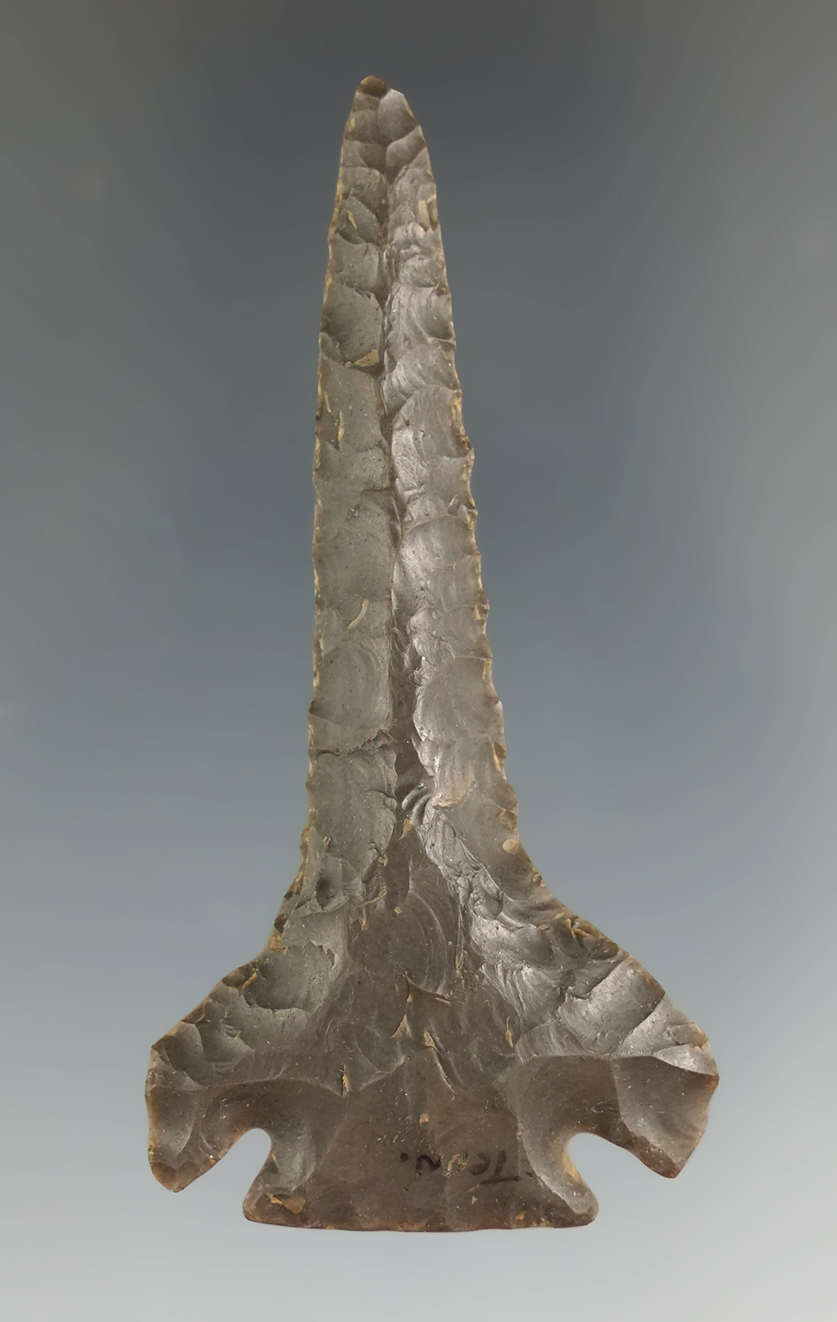 Main artifact image