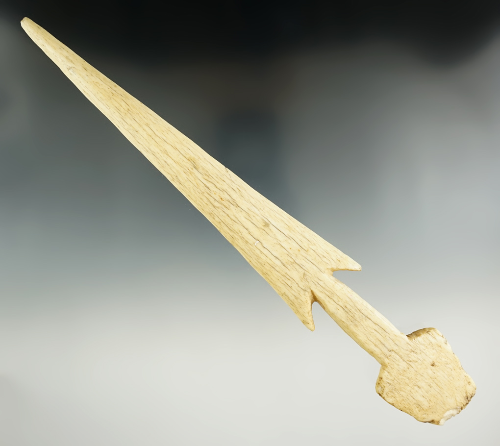 Main artifact image