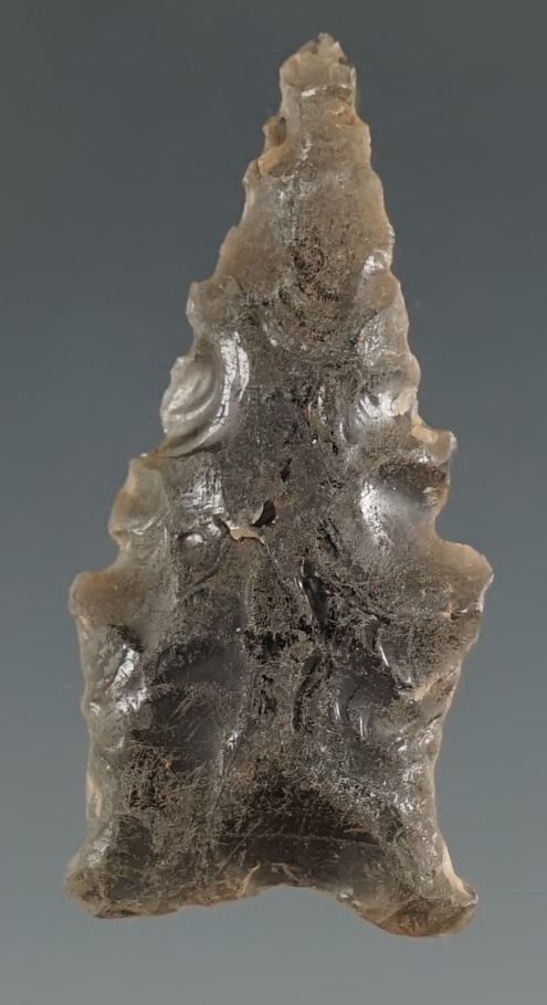 1 1/4" Eared Buchanan found in Harney County Oregon. Ex. Anderson collection.