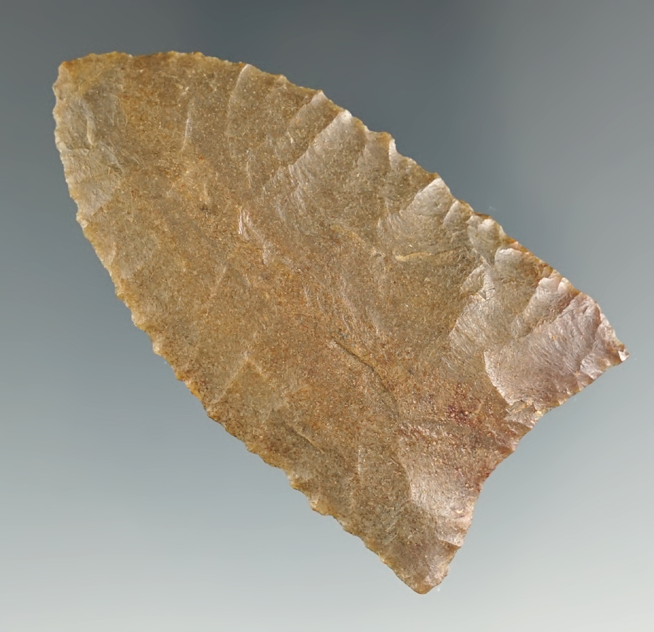 Main artifact image