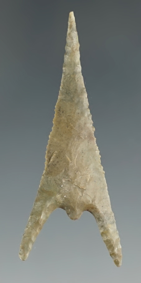 Main artifact image