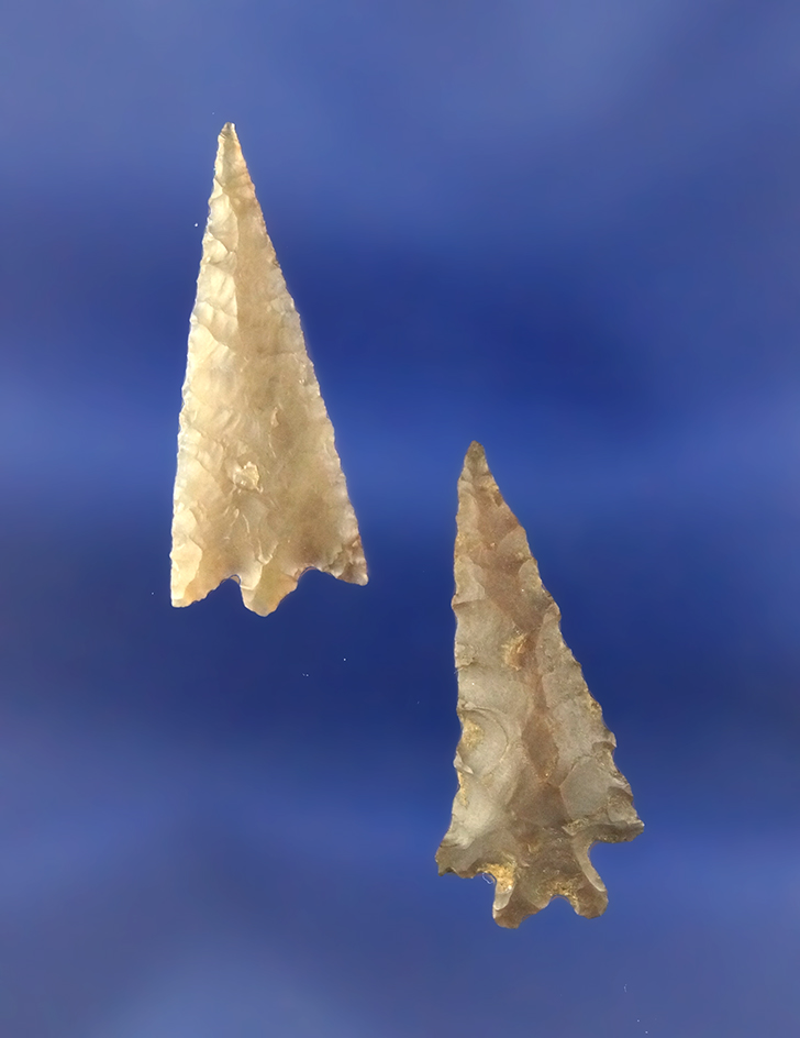 Main artifact image