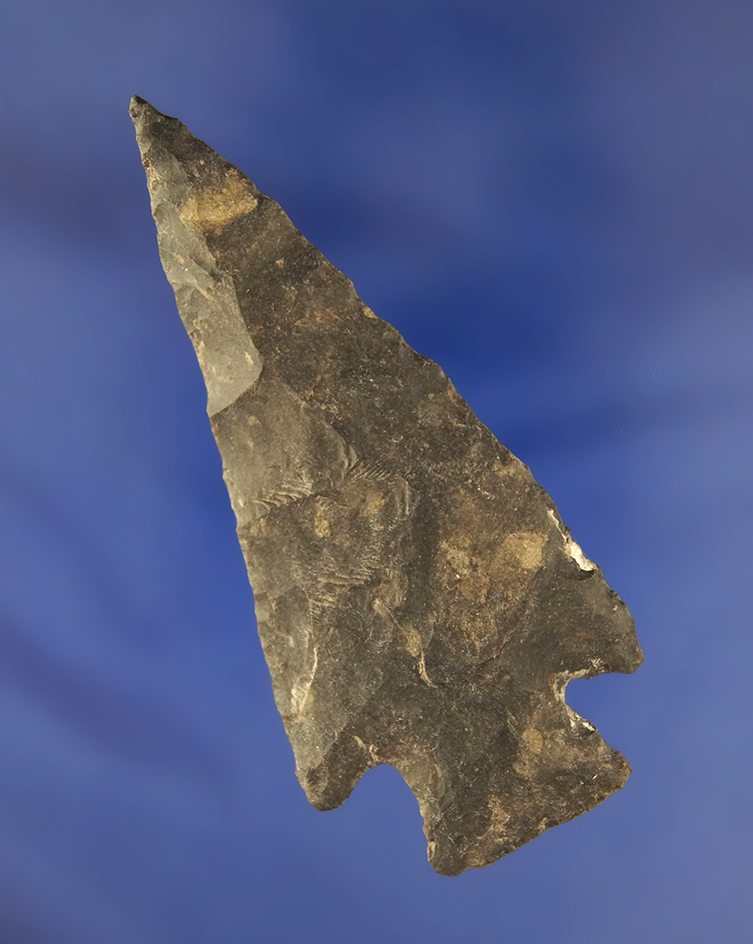 Main artifact image