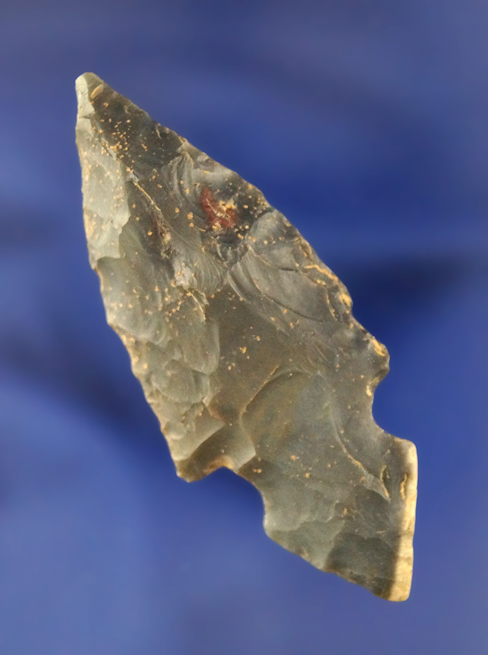 Main artifact image
