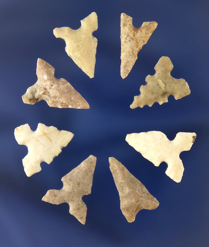 Main artifact image