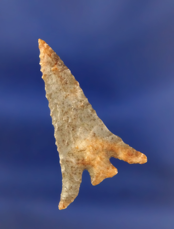 Main artifact image
