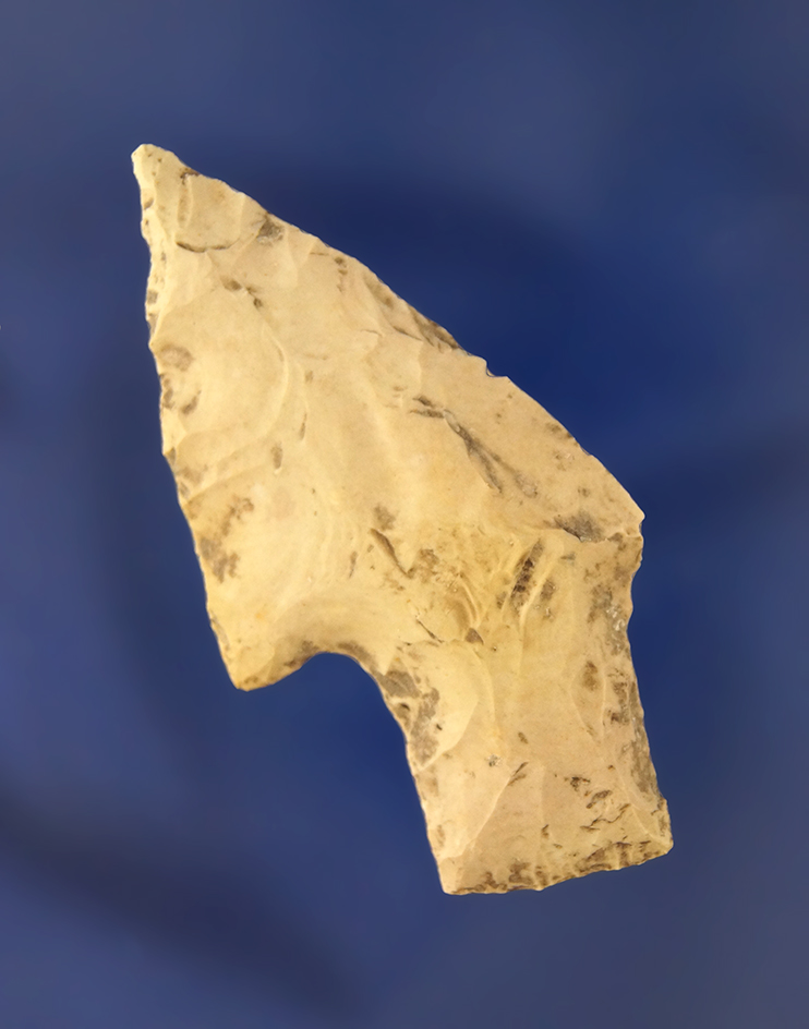Main artifact image