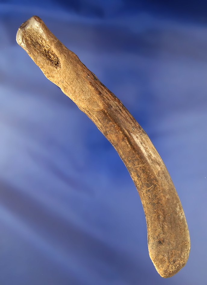 Main artifact image