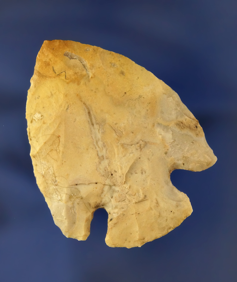 Main artifact image