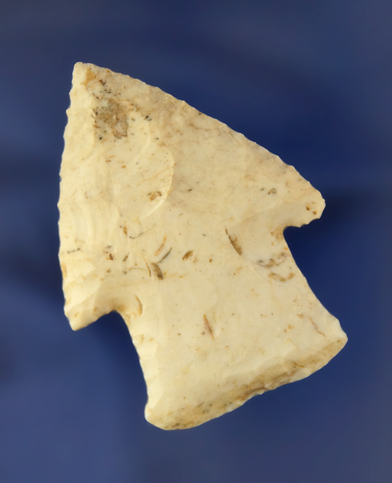 Main artifact image