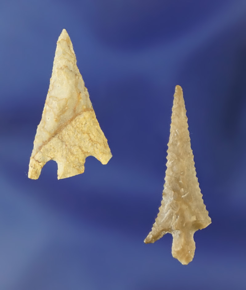 Pair of Columbia Plateau points found near the John Day Rapids in Klickitat Co., Washington
