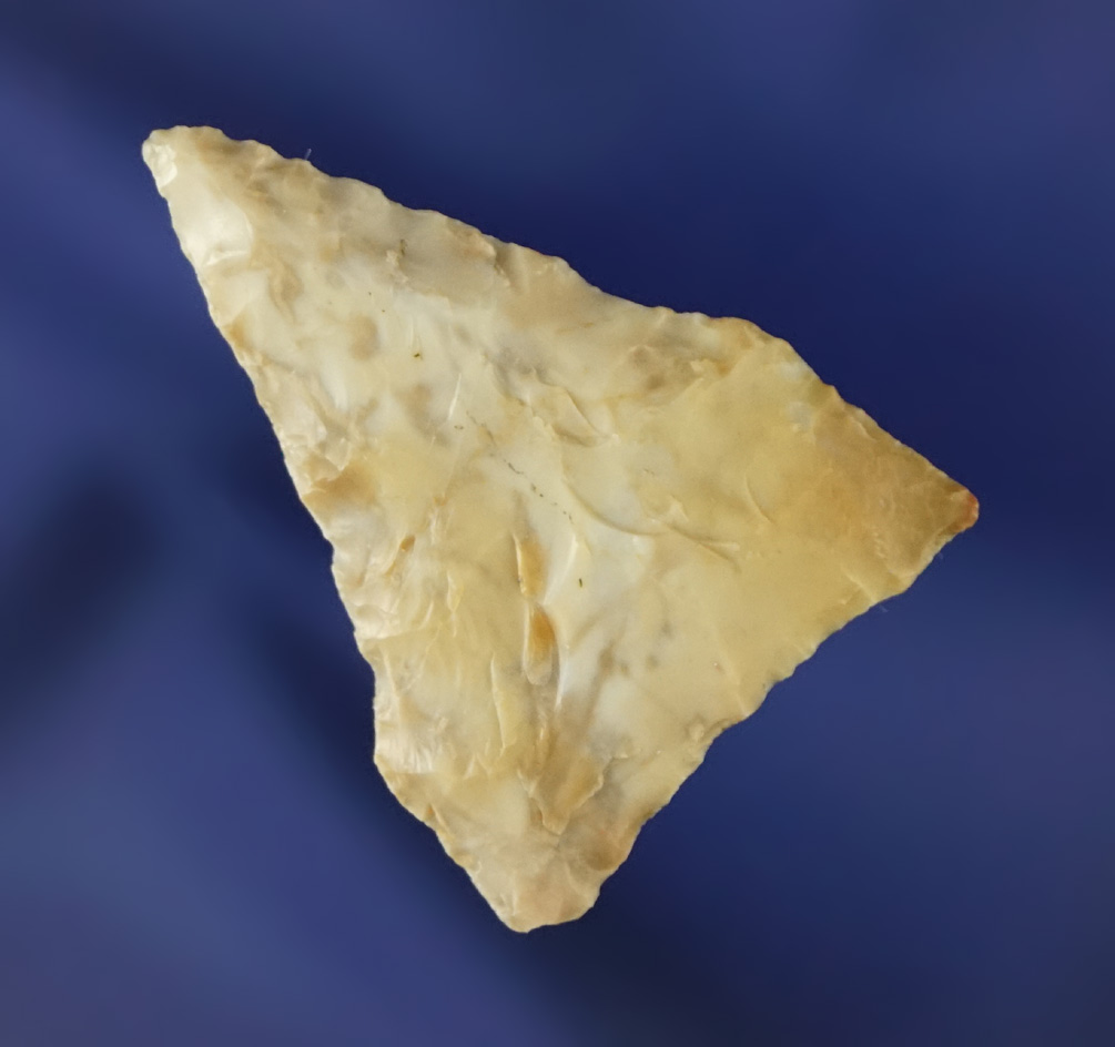 1 5/16" Plateau Pentagonal found near Plymouth Washington in 1963 by Kaye Don Bruce.
