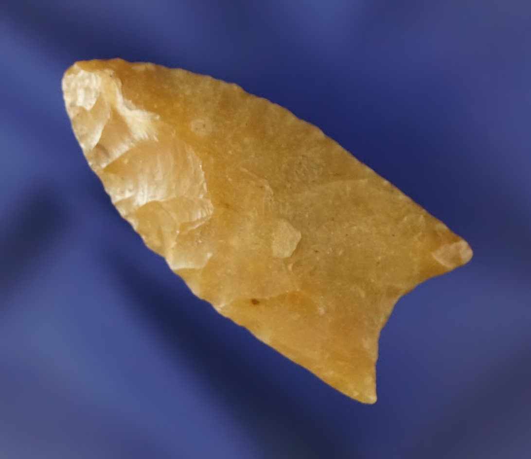 Main artifact image