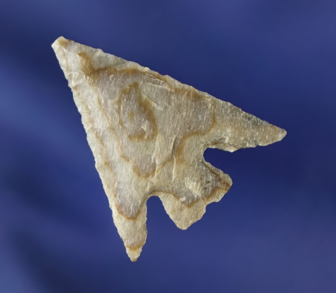 7/8" well made Columbia Plateau found near Richland Washington in 1964 by Kaye Don Bruce.