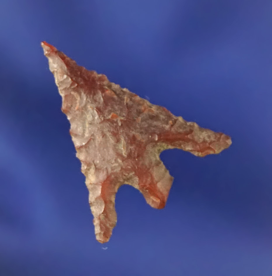 15/16" Eastgate that is well flaked. Found near the Snake  River, near Bishop, Washington.