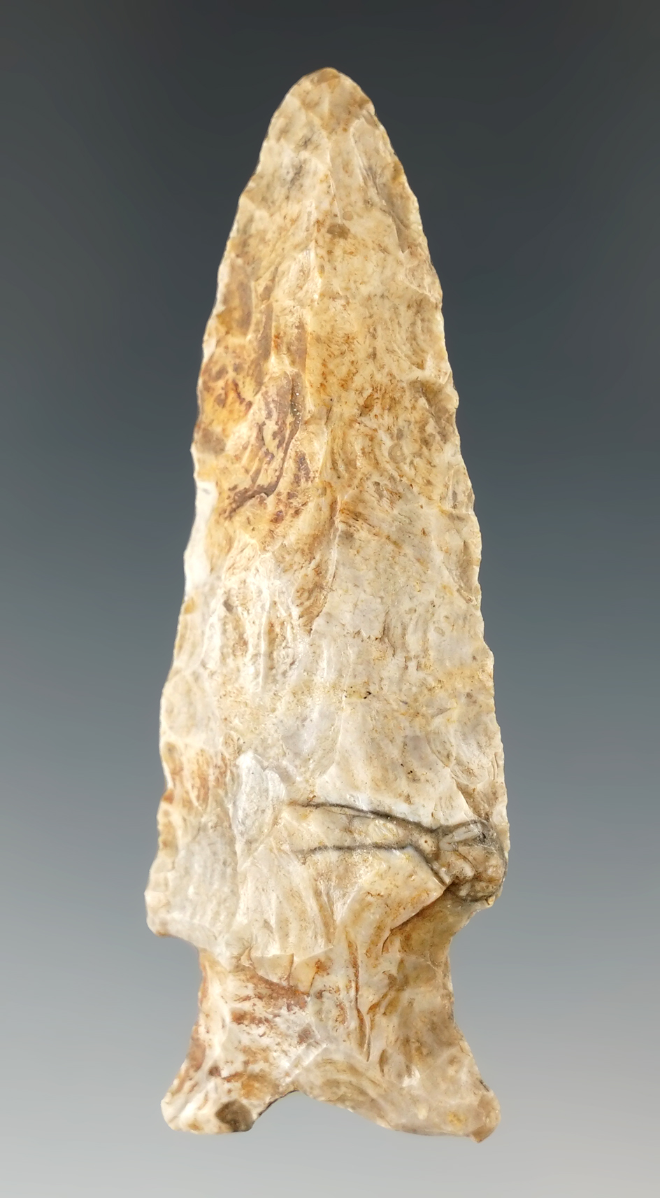 Main artifact image