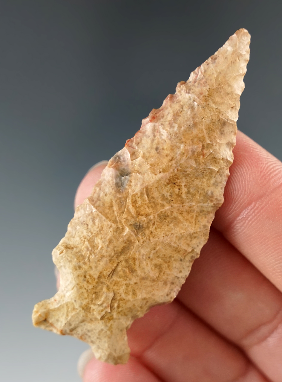 1 1/2" Notched Base dart point found in Central Texas.