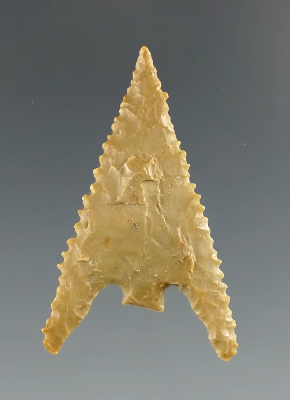 Well styled 1 5/16" Gunther point with excellent edge serrations found in Oregon.