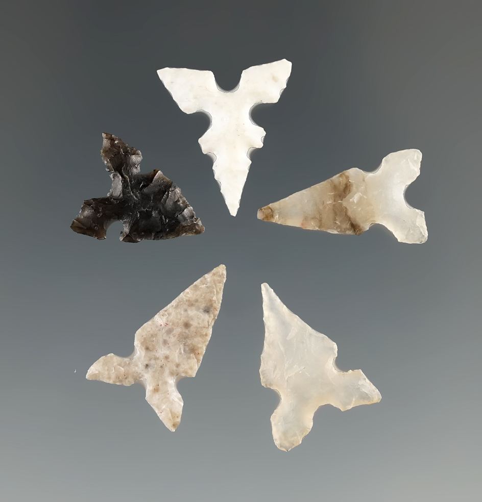 Set of five Toyah points found in Texas, largest is 11/16".